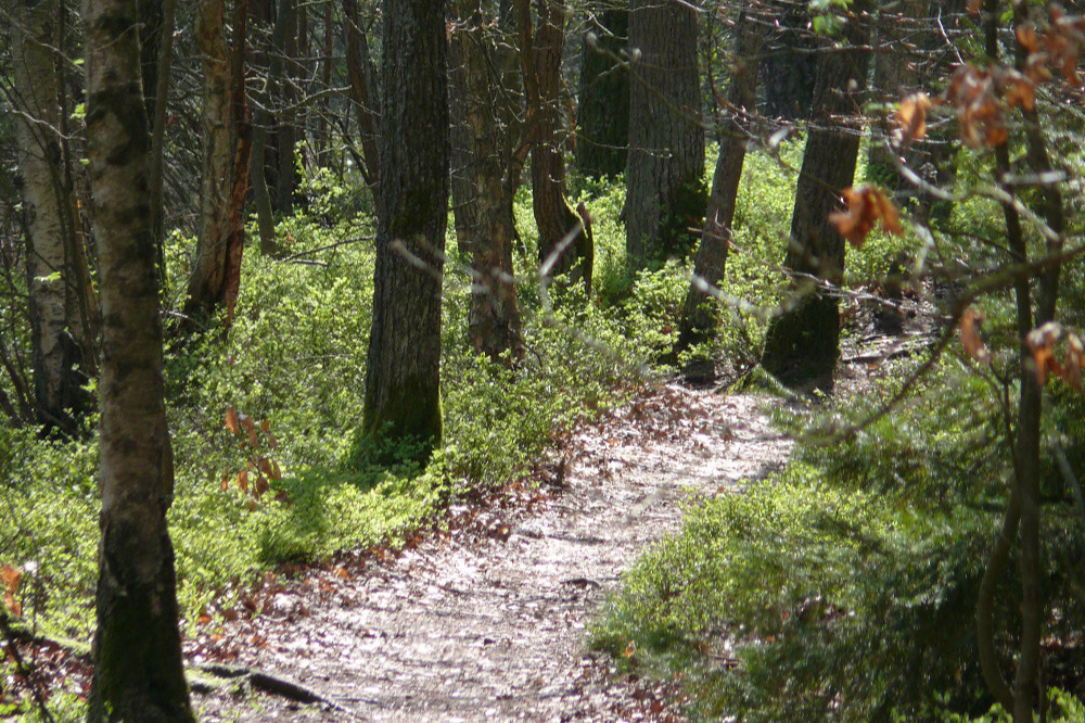 Wandern